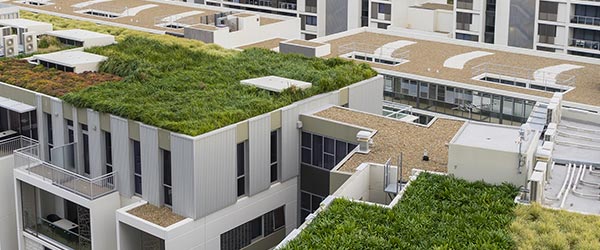 Green Roof