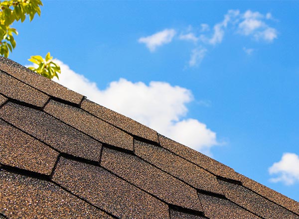 New Shingle Roof